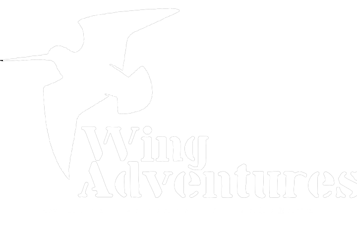 Wing Adventures